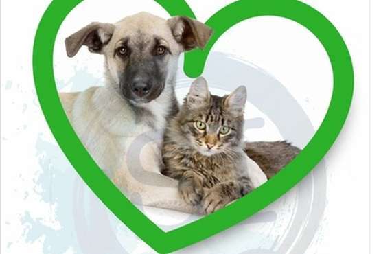 El encuentro se celebra en la Casa de la Agricultura (Foto TA)